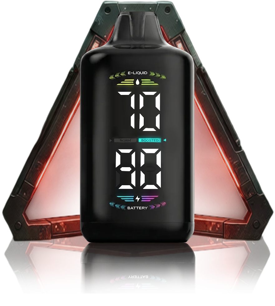 OLED DISPLAY
