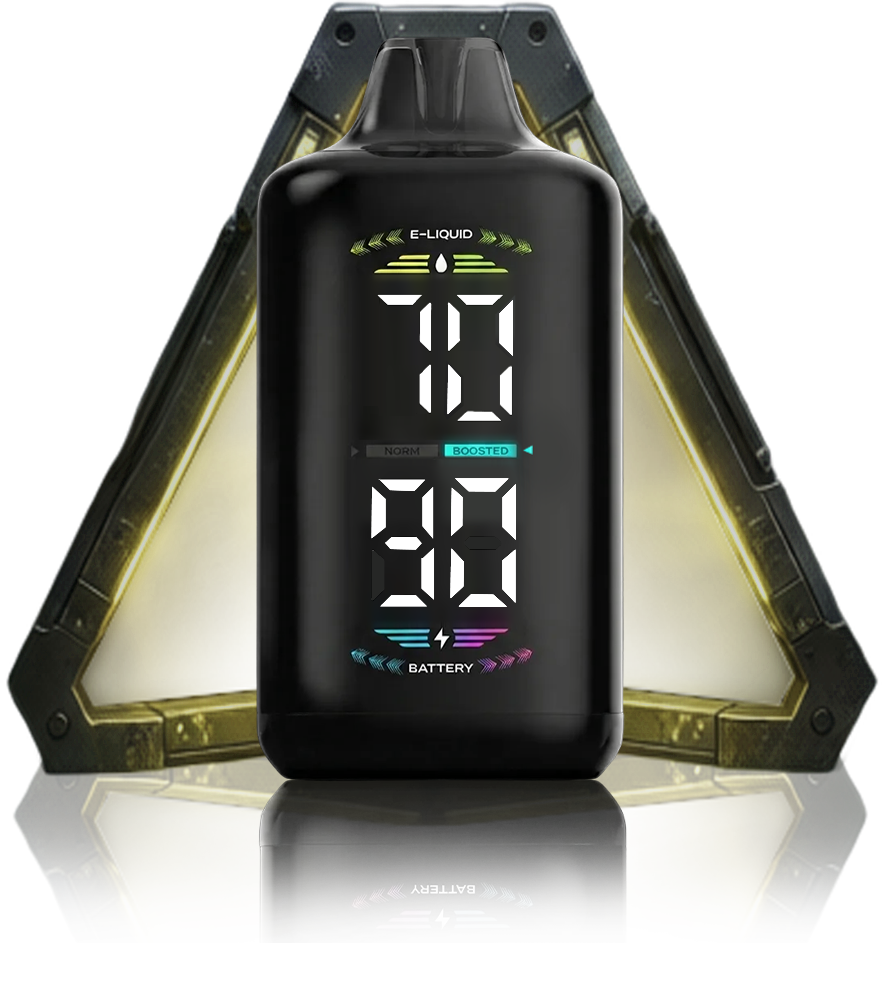OLED DISPLAY