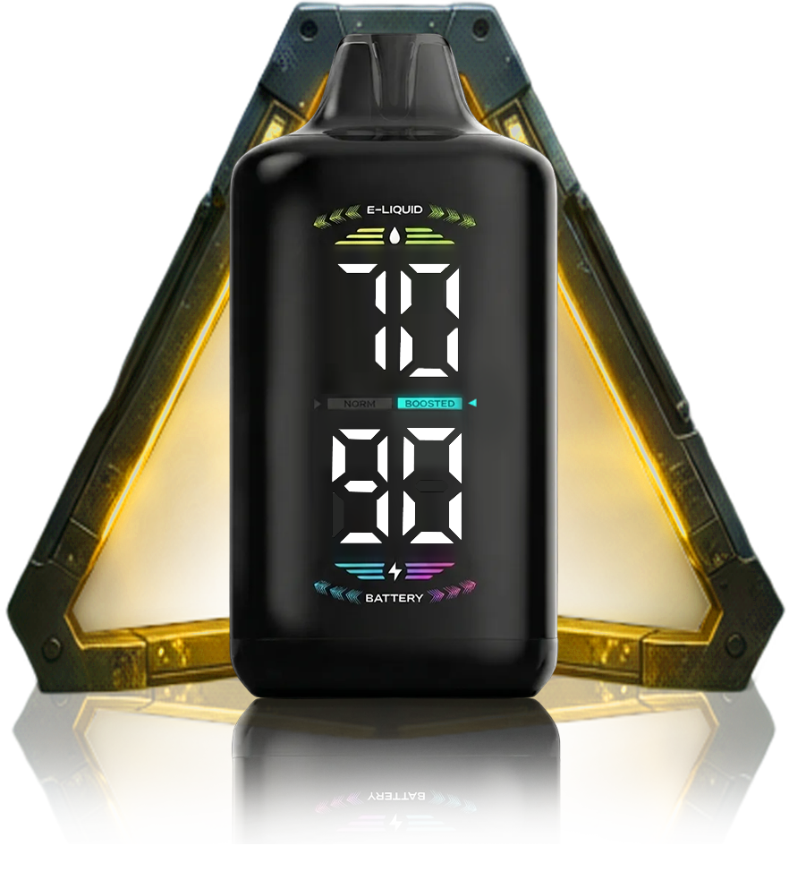 OLED DISPLAY