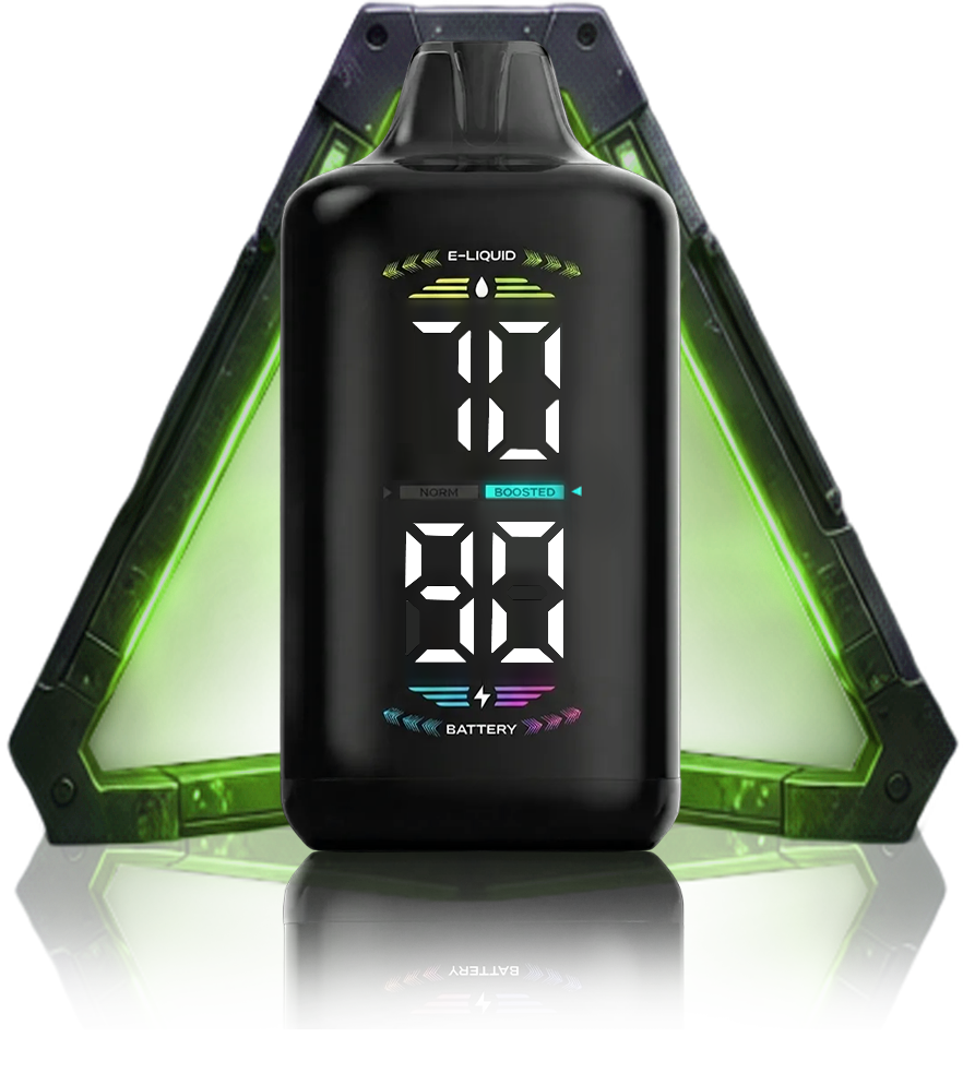 OLED DISPLAY